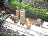 016 Pond Finds