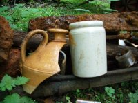 011 Pond Finds