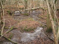002 Brentford Wood Pits