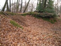 003 Brentford Wood Pits