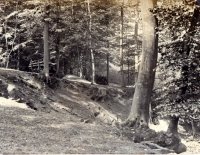 007 porch_cedars_1