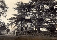 009 porch_cedars_3