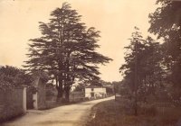 010 porch_cedars_4