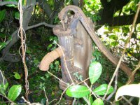 010 Walnut Tree Pump