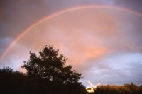 016 The Windmill - Rainbow