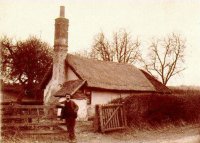 022 little_cot_c1900_bcc