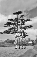 075 Cedars