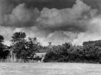001 bfp06364_1