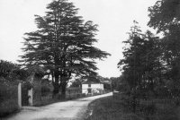 002 cedars_village_rd_ph