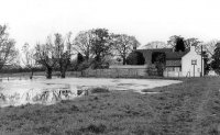 009 pond_2_c1965_bcc