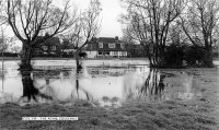 010 pond_3_c1965_bcc