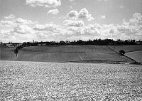 012 towards_coleshill2_bcc