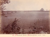 006 pheasant_farm_1901