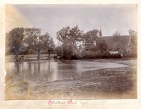 003 pond_1901