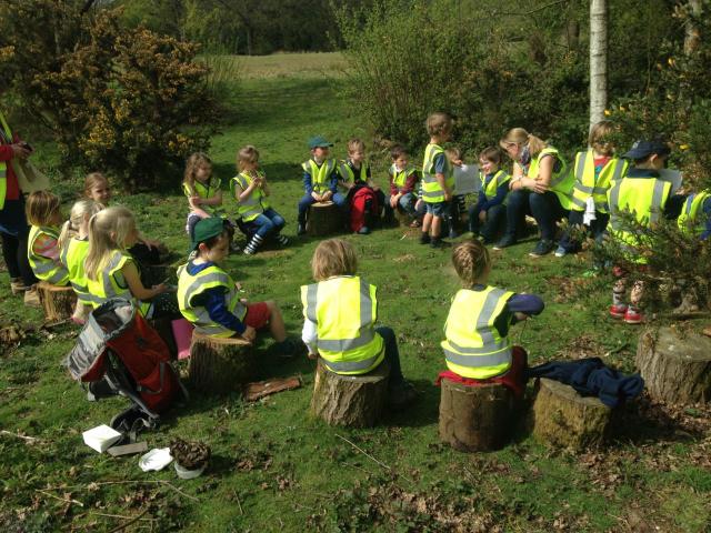 FOREST SCHOOL 2